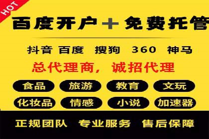 某公司网站sem托管项目纪实